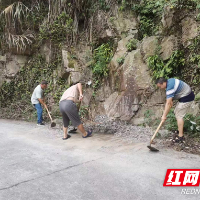 炎陵县水口镇：党员干部齐上阵 清理路障为“黄桃销售季”保驾护航