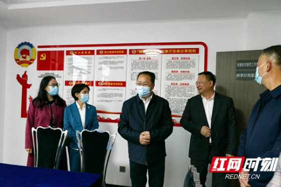 党建领航 株洲市政协履职活力迸发