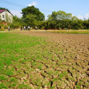 夏战酷暑 株洲全力引水灌溉解民忧