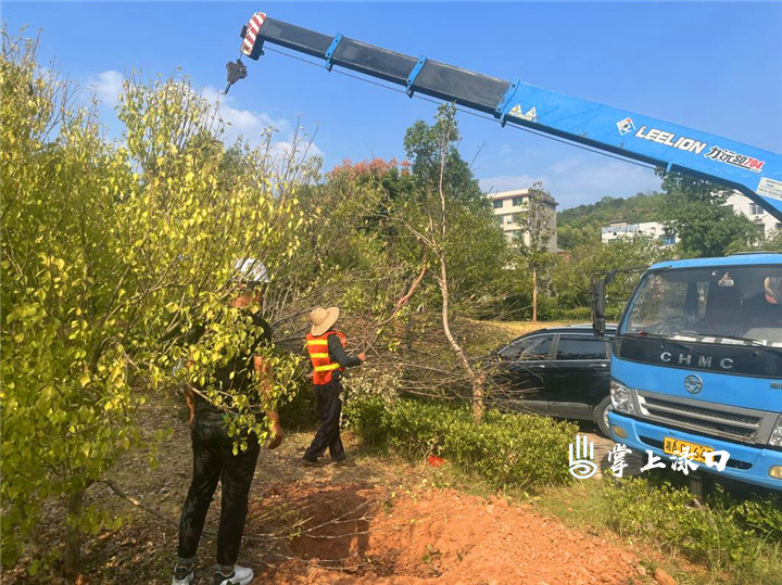 休闲好去处！渌口这4个小游园开工啦