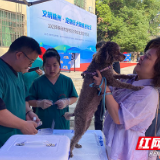 株洲市农业农村局开展“文明养犬·宠物狂犬免疫进社区”活动