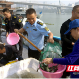 增殖放流！500万尾鱼种回归湘江株洲段