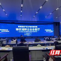 株洲：聚焦知识产权 护航专精特新