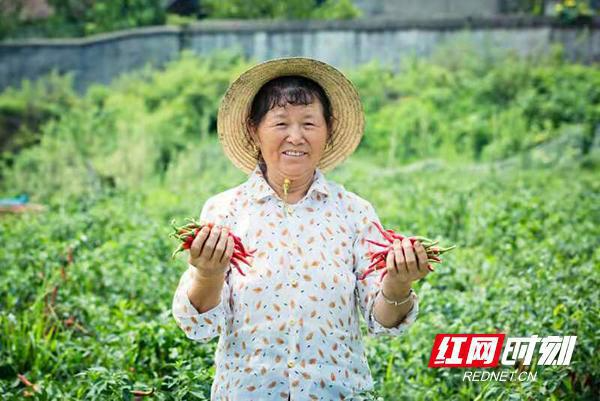 湖南株洲：做优自主品牌 传递湘赣味道