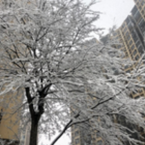 2月5日10时起，株洲启动低温雨雪冰冻灾害Ⅳ级应急响应