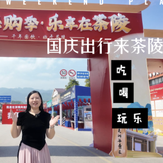 vlog丨茶陵县“国庆嗨购季”有多好逛：八大主题市集+多重福利  消费氛围感拉满