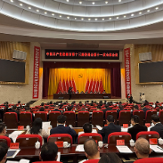 快讯|株洲市委十三届十一次全会举行