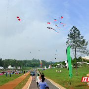 快来“乡”约茶陵！2025年湖南省乡村文化旅游节茶陵分会场启幕