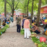 荷塘区月塘街道巧解20年马路市场顽疾 “僵尸车坪”变身“便民菜市”