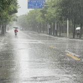 “雨”你有关！这些应急知识请牢记！