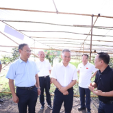 曹慧泉调研株洲市亚热带果蔬特色产业园建设