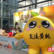 株洲文旅推广走进黄花机场 制造名城魅力圈粉海内外旅客