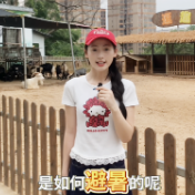 视频丨避暑有“凉”方！高温天气株洲市石峰动物园的“花式降温”大揭秘