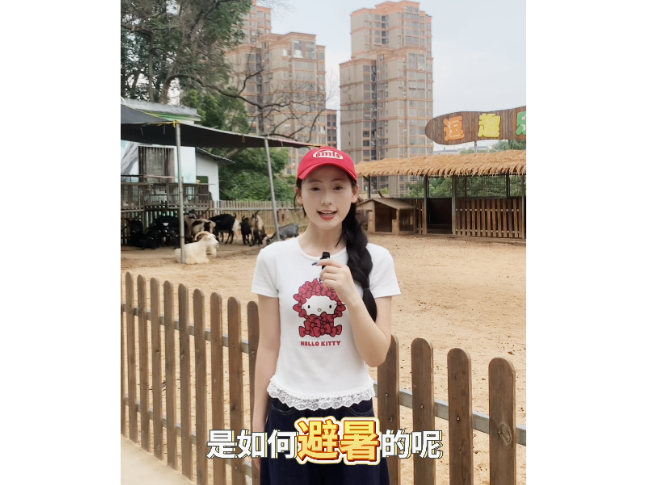 视频丨避暑有“凉”方！高温天气株洲市石峰动物园的“花式降温”大揭秘