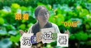 视频丨跟着“00后”沉浸式过小暑