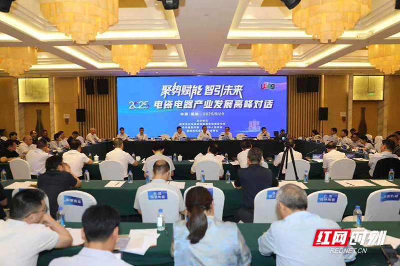 醴陵举办电瓷电器产业发展高峰对话 为高质量发展“把脉开方”