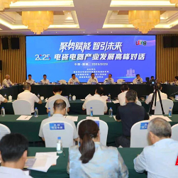 醴陵举办电瓷电器产业发展高峰对话 为高质量发展“把脉开方”