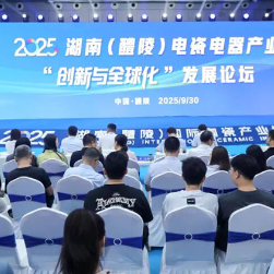 醴陵市:政企研协同发力,共探“双碳”下高质量发展新路径