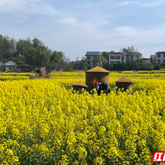 组图｜跟随记者镜头解锁攸县春日“花漾”玩法
