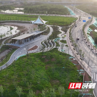 盘点2025丨产业破局、民生向暖 芦淞的“向上”逻辑