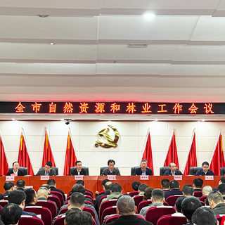 谋定“十五五”开局！株洲部署2026年自然资源和林业重点工作