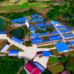 红观株洲丨千年醴花向绿新生 醴陵花炮产业转型深度观察