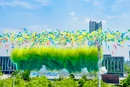 视频丨白天也能看3D烟花！醴陵创新日景烟花“七彩画师”惊艳首秀