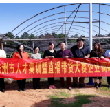 株洲市人才集训暨直播带货大赛即将在茶陵盛大开营