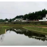 细“治”入“微”谋幸福！天元区乡镇样板河建设显成效