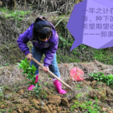 “宅”家练技能 炎陵学校多种形式促学习