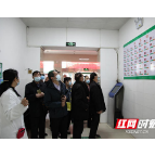 芦淞区老年保健协会组织专题调研活动
