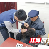醴陵：“一站式”养犬办证服务进社区