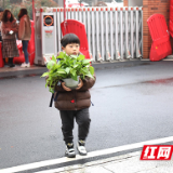 开学第一天 白鹤菱溪小学形成了绿色风景线