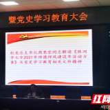 株洲市第七中学开展“学史明理”教育活动