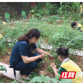 白关中心小学：“白圃”课程学问大，劳动实践真落地