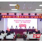 株洲市渌口区召开卫健系统“两优一先”表彰大会