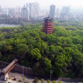 坚持党的全面领导 扎扎实实办好株洲事情