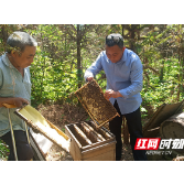 基层人物丨陈家创与他的“甜蜜事业”