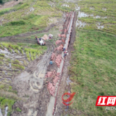 攸县：加快高标准农田建设 夯实农业现代化基础