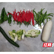 爱心老板赠蔬菜 让爱传递共渡难关