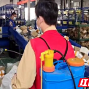您的包裹正在路上 醴陵邮政快递行业正有序复工复产