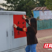 炎陵县霞阳镇从紧从严从快 坚决打赢疫情防控阻击战