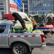 爱心企业家捐赠蔬菜 为荷塘抗“疫“提供保障