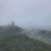 视频丨景色如画 攸县酒仙湖迎来今冬首场雾凇