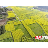 乡村振兴丨荷塘区：山水景交错 产业赋能注活力