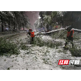 荷塘城管交警全员上路 连夜除雪力保雪后出行