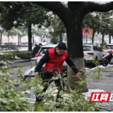 铲冰除雪 株洲市卫健委志愿者齐上阵