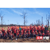 植一抹新绿 白关中心小学植树节活动