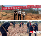 工行炎陵支行参加全民义务植树活动