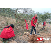 荷塘仙庾镇：植树造绿 扮靓生态文明底色